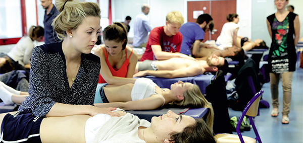Écoles européennes d'ostéopathie